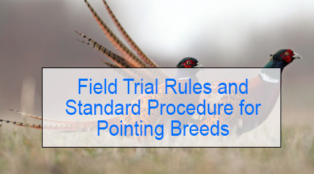 Field Trial Rules and Standard Procedure for Pointing Breeds